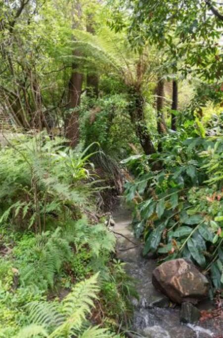 فيلا Paddys Creek Retreat Upwey المظهر الخارجي الصورة